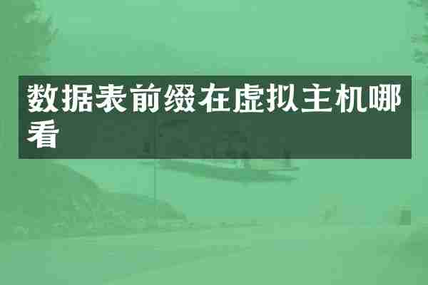 数据表前缀在虚拟主机哪看