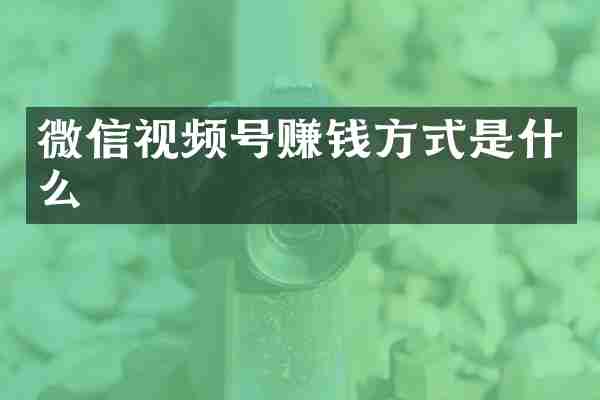 微信视频号赚钱方式是什么