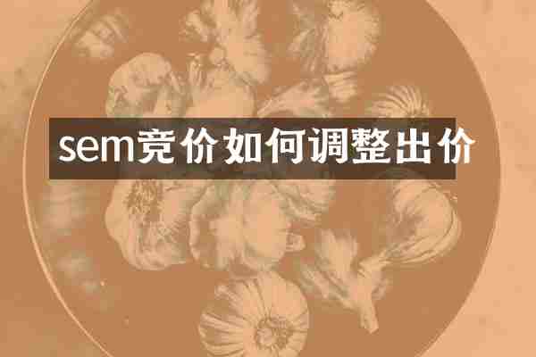 sem竞价如何调整出价