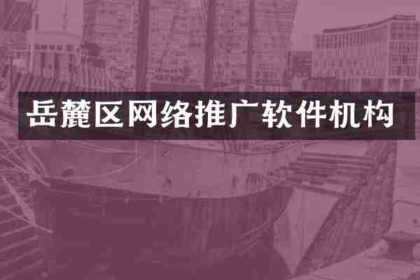岳麓区网络推广软件机构