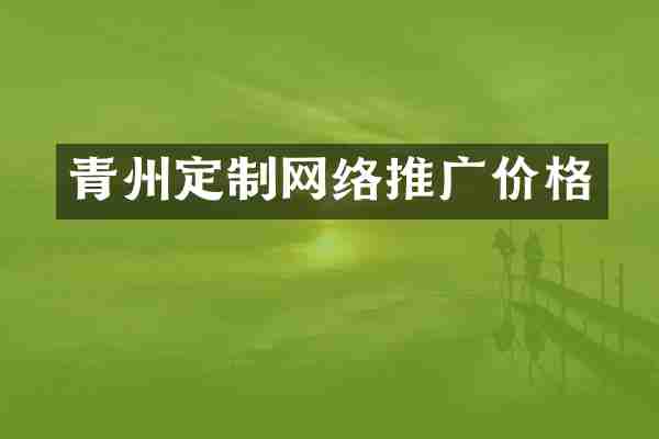 青州定制网络推广价格