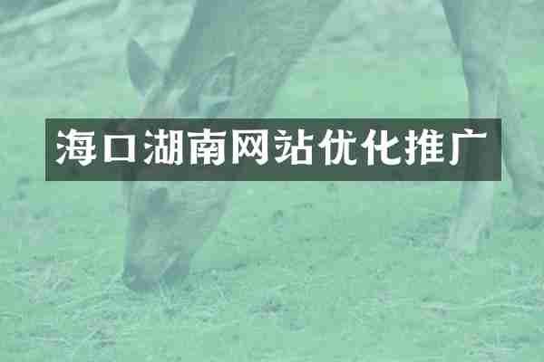 海口湖南网站优化推广