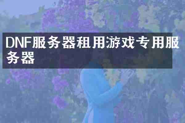 DNF服务器租用游戏专用服务器
