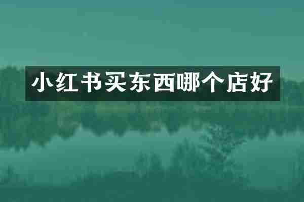 小红书买东西哪个店好