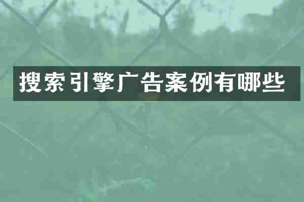 搜索引擎广告案例有哪些