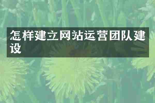 怎样建立网站运营团队建设