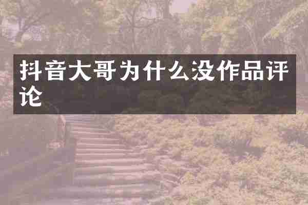 抖音大哥为什么没作品评论