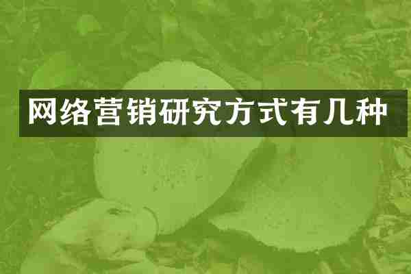 网络营销研究方式有几种