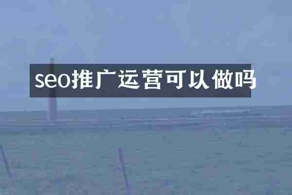 seo推广运营可以做吗