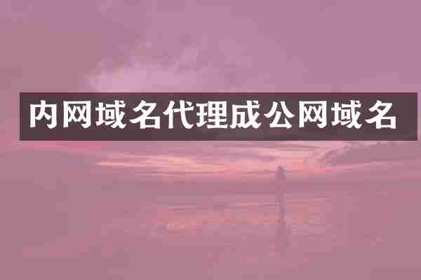 内网域名代理成公网域名