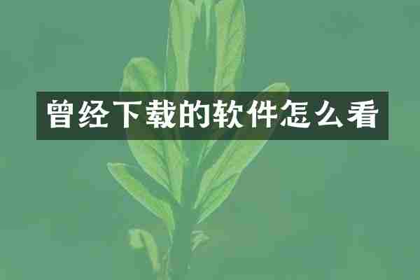 曾经下载的软件怎么看