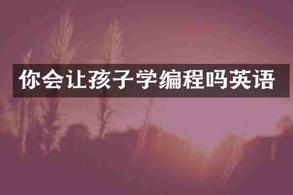 你会让孩子学编程吗英语