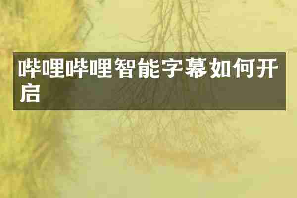 哔哩哔哩智能字幕如何开启