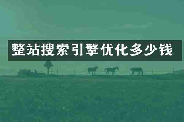 整站搜索引擎优化多少钱