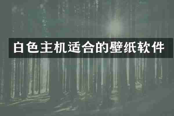 白色主机适合的壁纸软件