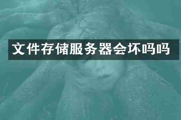 文件存储服务器会坏吗吗