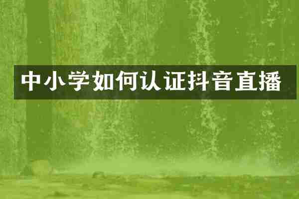 中小学如何认证抖音直播