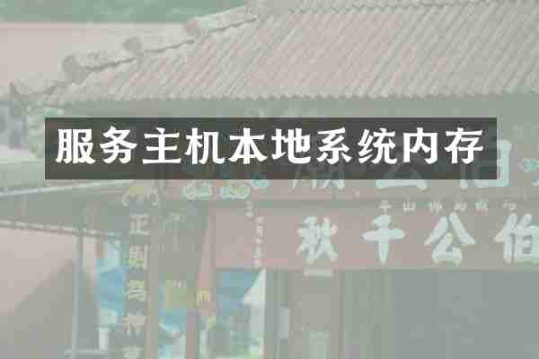 服务主机本地系统内存