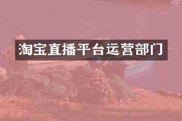 淘宝直播平台运营部门