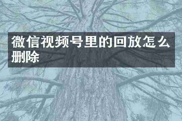 微信视频号里的回放怎么删除