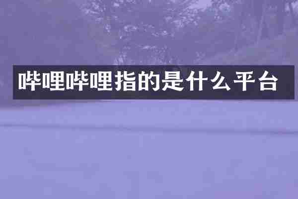 哔哩哔哩指的是什么平台
