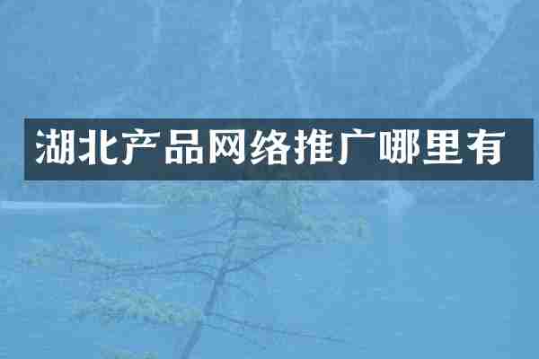 湖北产品网络推广哪里有