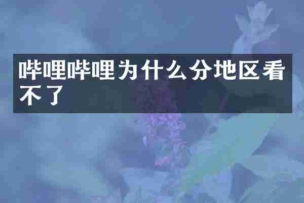哔哩哔哩为什么分地区看不了