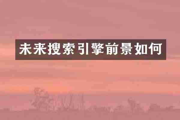 未来搜索引擎前景如何