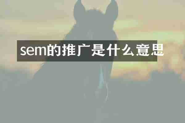 sem的推广是什么意思