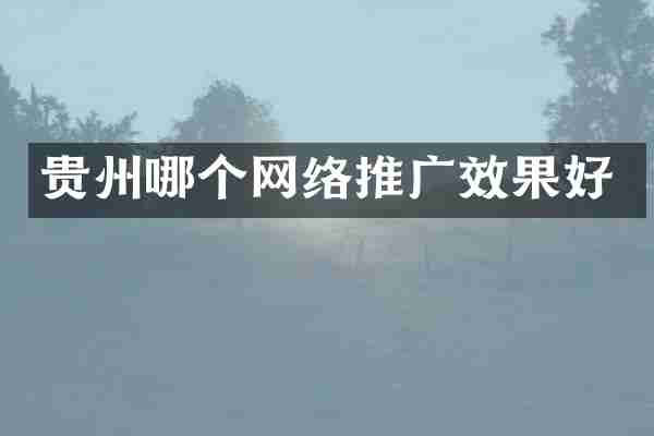 贵州哪个网络推广效果好