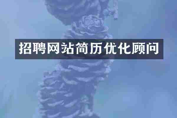 招聘网站简历优化顾问