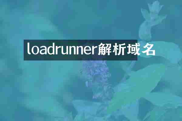 loadrunner解析域名