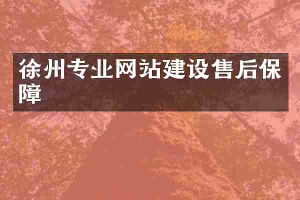 徐州专业网站建设售后保障