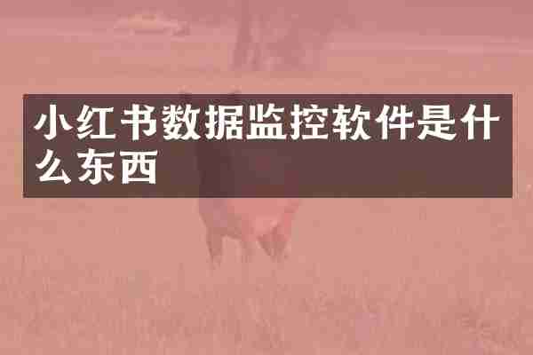 小红书数据监控软件是什么东西