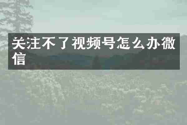 关注不了视频号怎么办微信