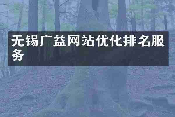 无锡广益网站优化排名服务