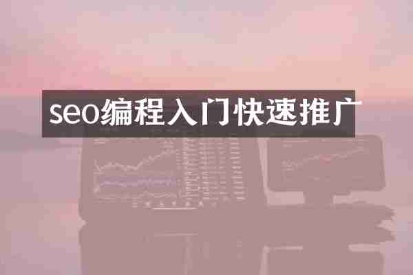 seo编程入门快速推广