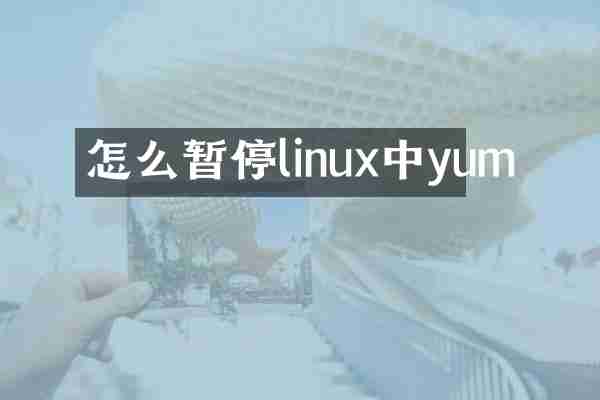 怎么暂停linux中yum