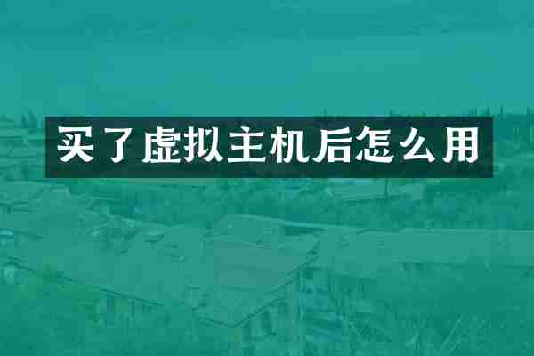 买了虚拟主机后怎么用