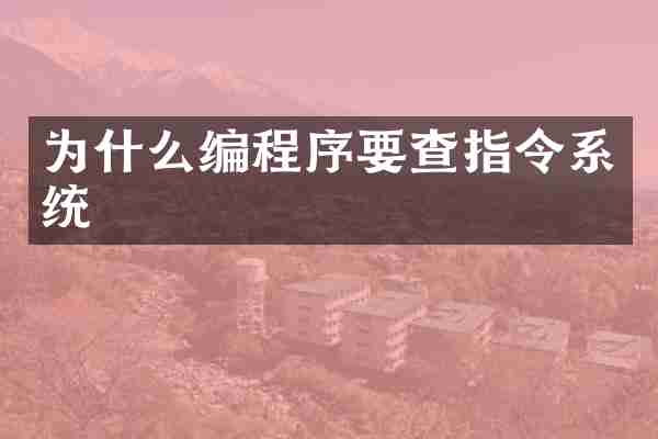 为什么编程序要查指令系统