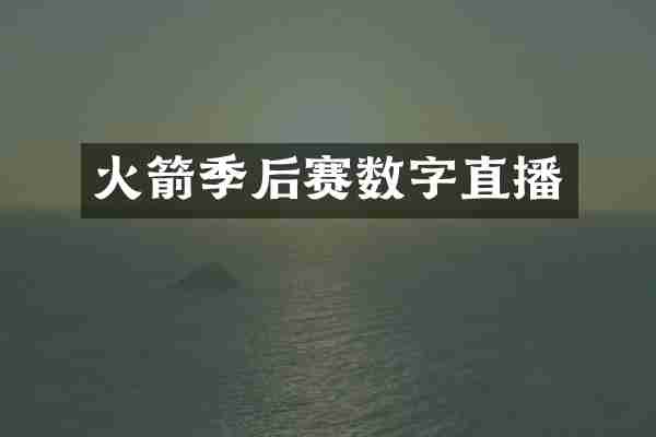 火箭季后赛数字直播