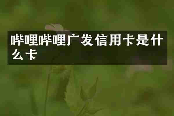 哔哩哔哩广发信用卡是什么卡