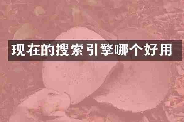 现在的搜索引擎哪个好用
