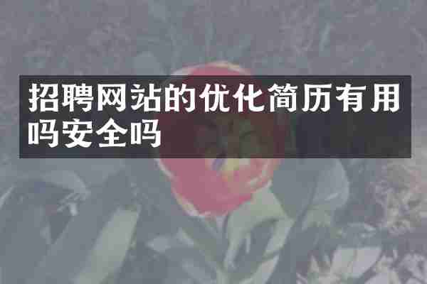 招聘网站的优化简历有用吗安全吗
