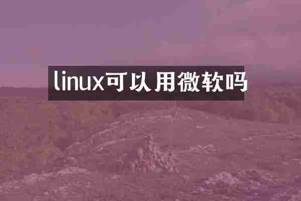linux可以用微软吗