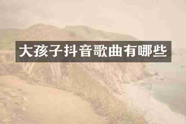大孩子抖音歌曲有哪些