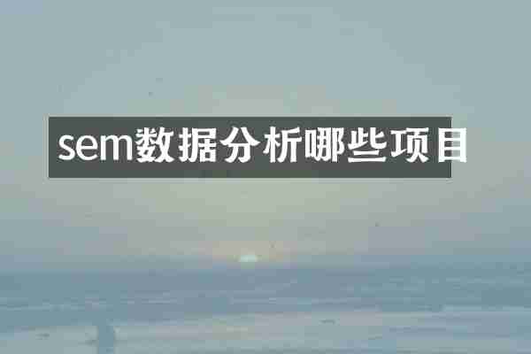 sem数据分析哪些项目