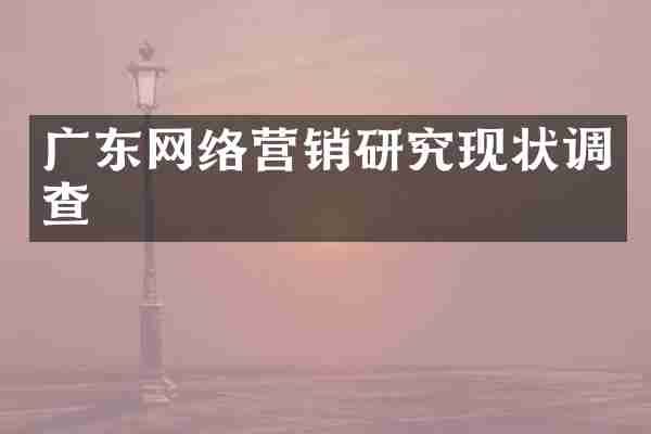 广东网络营销研究现状调查