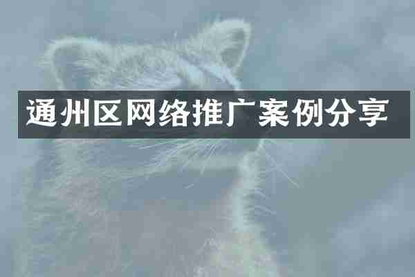 通州区网络推广案例分享