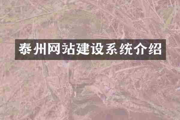 泰州网站建设系统介绍